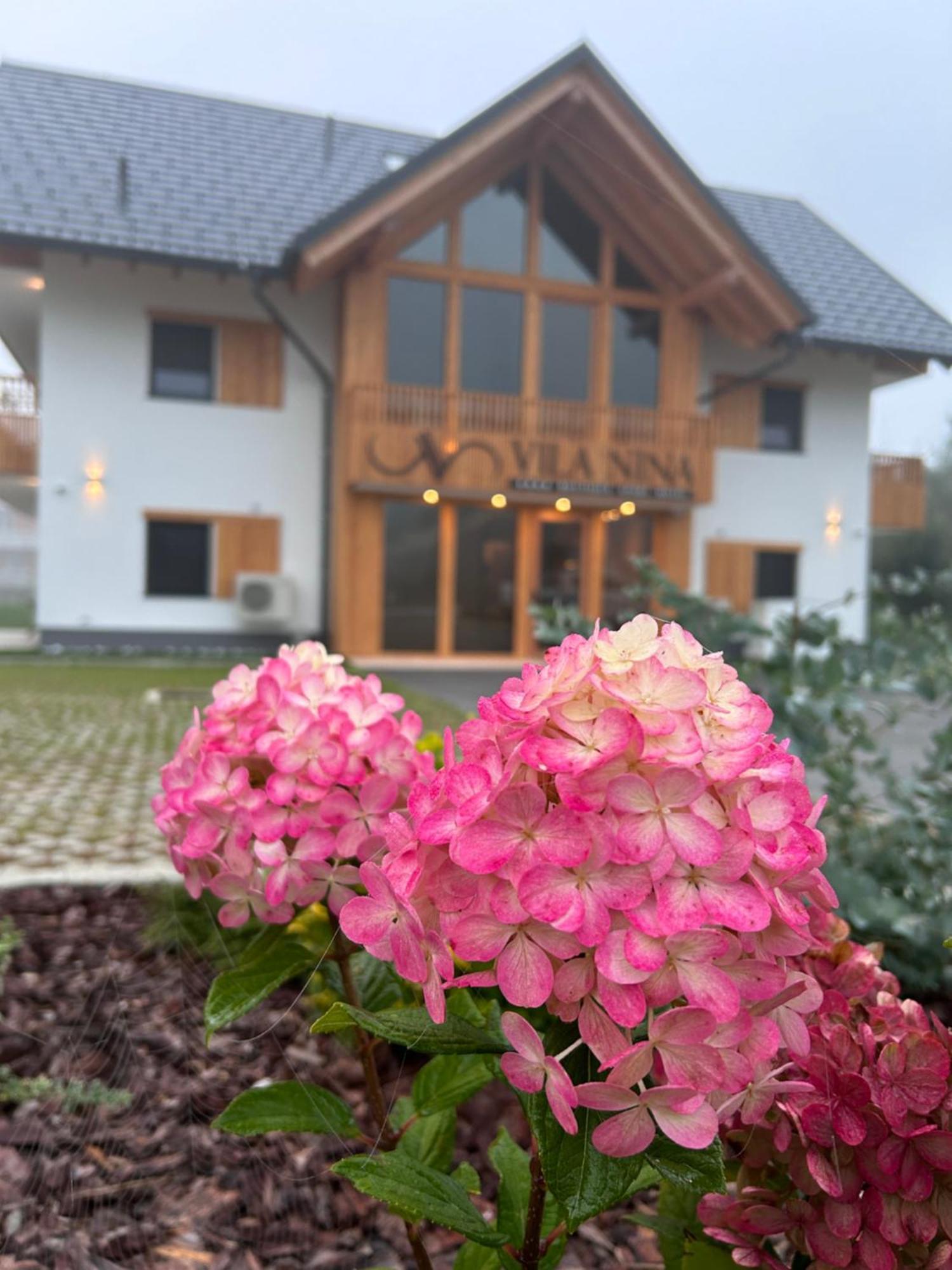 Vila Nina بوينج المظهر الخارجي الصورة